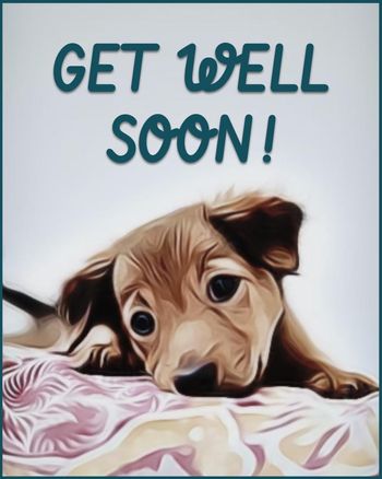 Use Get well soon