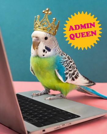Use Funny animal admin day card