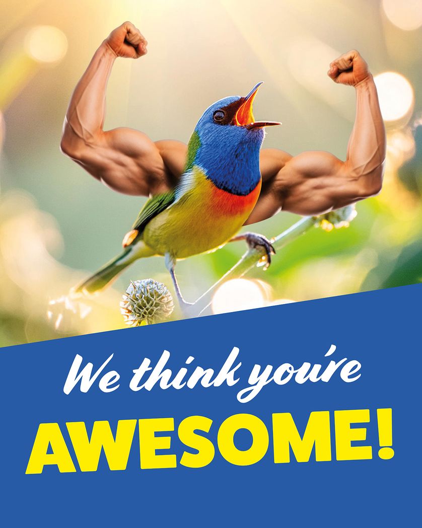 Card design "Happy Admin day - Bird with arms"