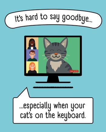 Use Cat zoom - group leaving ecard