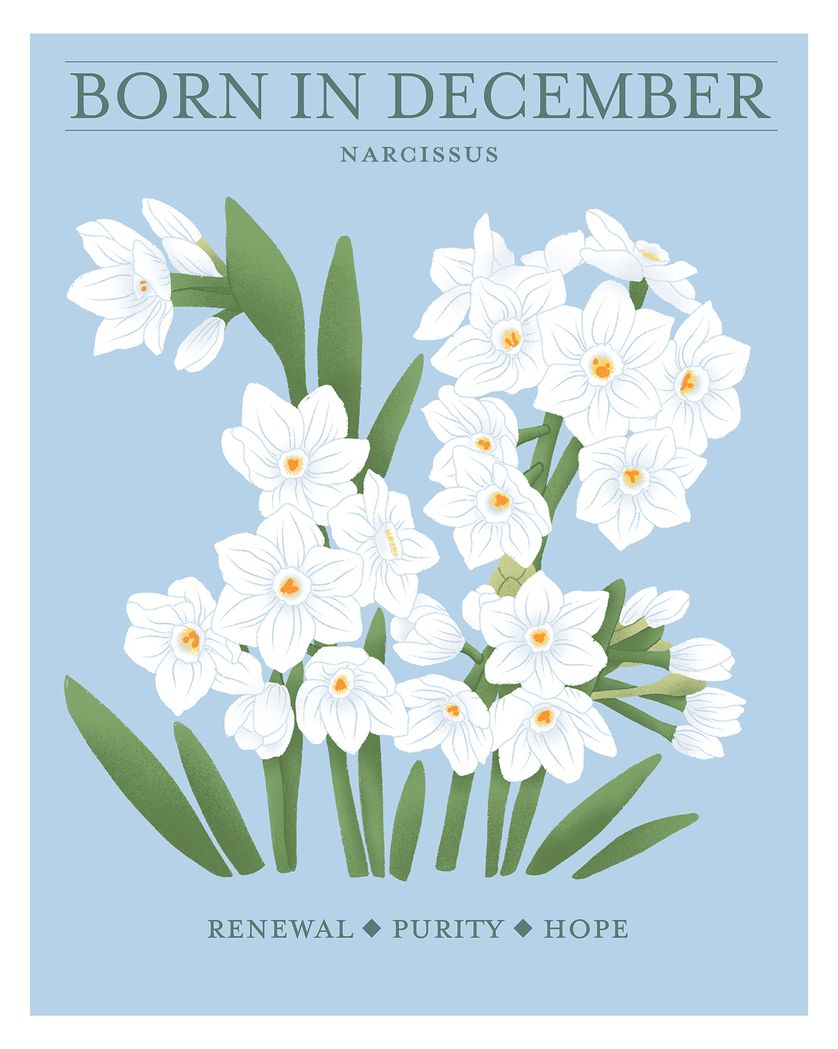 Card design "Birth flower December - group birthday ecard"