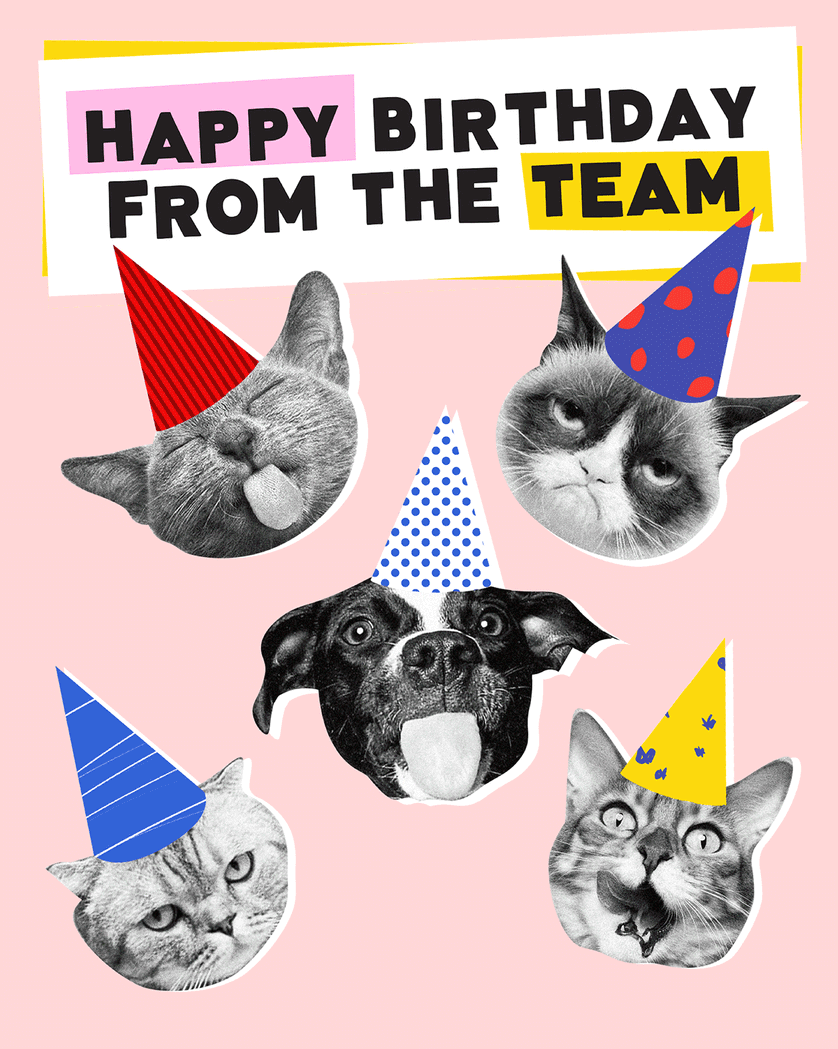 Card design "Funny cats - Happy Birthday team group card"