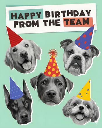 Use Pawty patrol - group birthday ecard