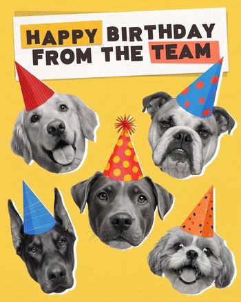Use Pawty patrol - group birthday ecard