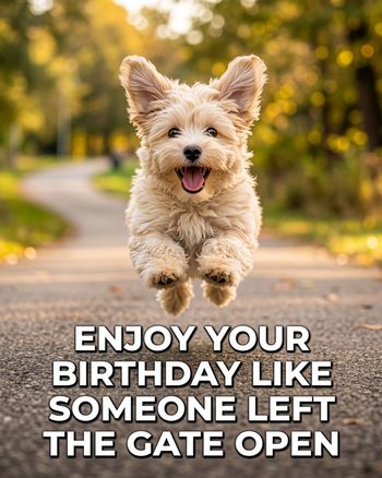 Use Zoomies - group birthday ecard