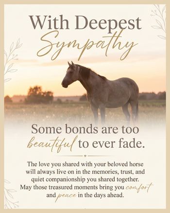 Use Horse Loss - group sympathy ecard